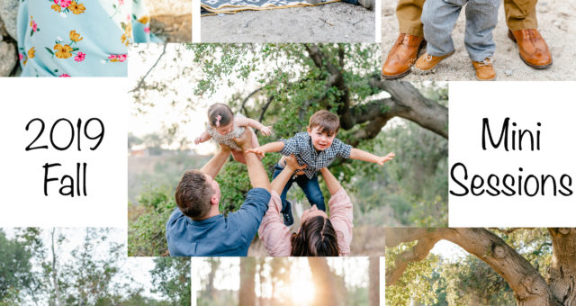 2019 Fall Mini Sessions - Book Now!